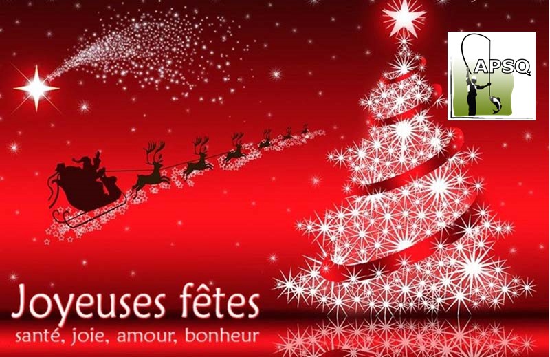 Joyeux temps des Fêtes de l'APSQ - Infolettre Décembre 2020