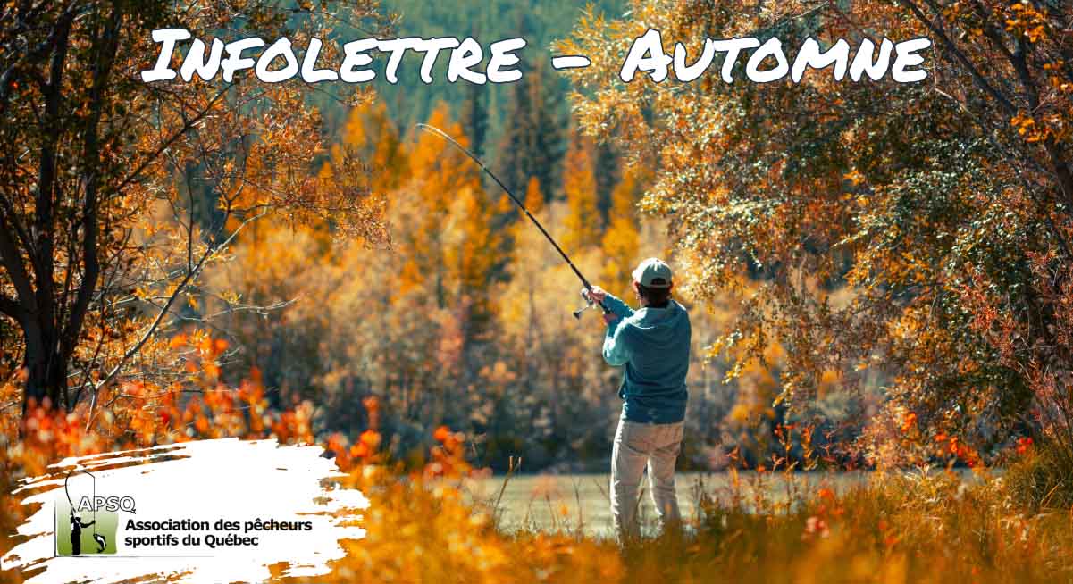 Infolettre de l'Association des Pêcheurs Sportifs du Québec- Automne 2024