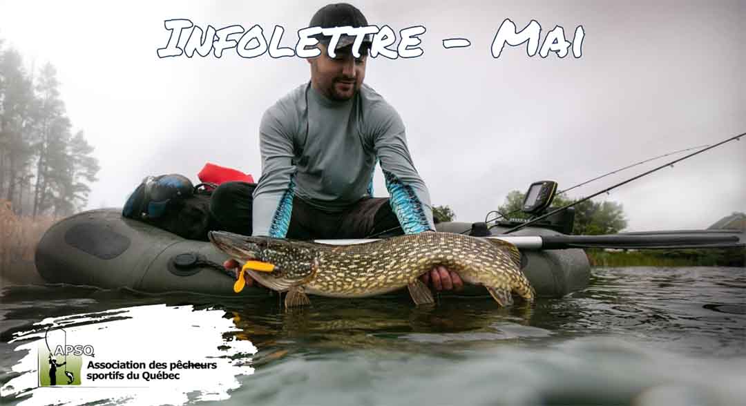 Infolettre de l'Association des Pêcheurs Sportifs du Québec- Mai 2024