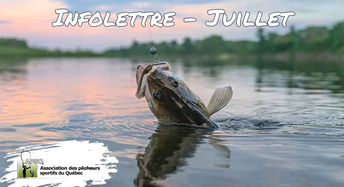 Infolettre de l'Association des Pêcheurs Sportifs du Québec- Juillet 2024