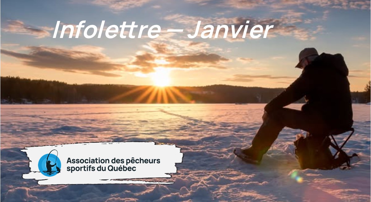 Infolettre de janvier 2025 - Association des Pêcheurs Sportifs du Québec.