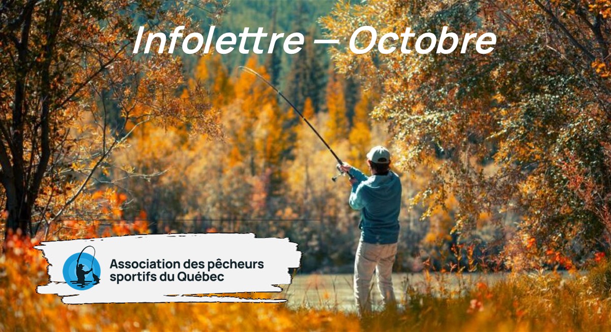 Infolettre Octobre 2025 - Association des Pêcheurs Sportifs du Québec.