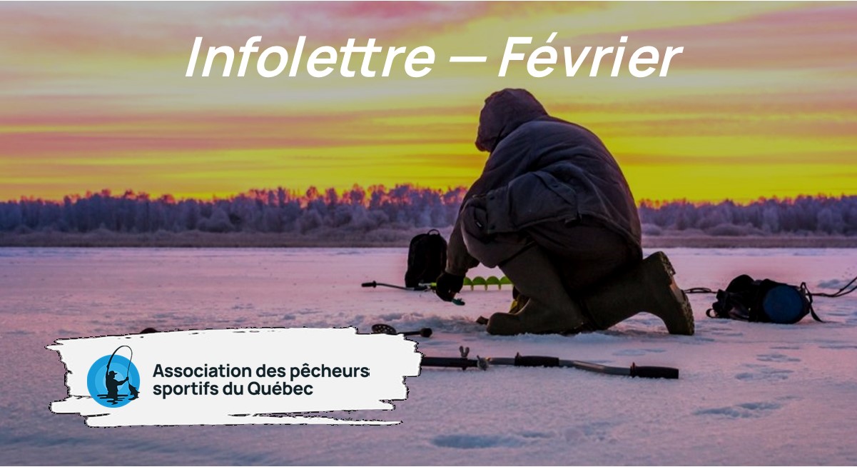Infolettre de février 2025 - Association des Pêcheurs Sportifs du Québec