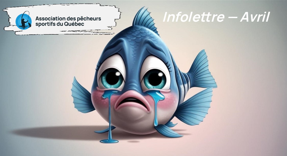Infolettre d'avril 2025 - Association des Pêcheurs Sportifs du Québec.