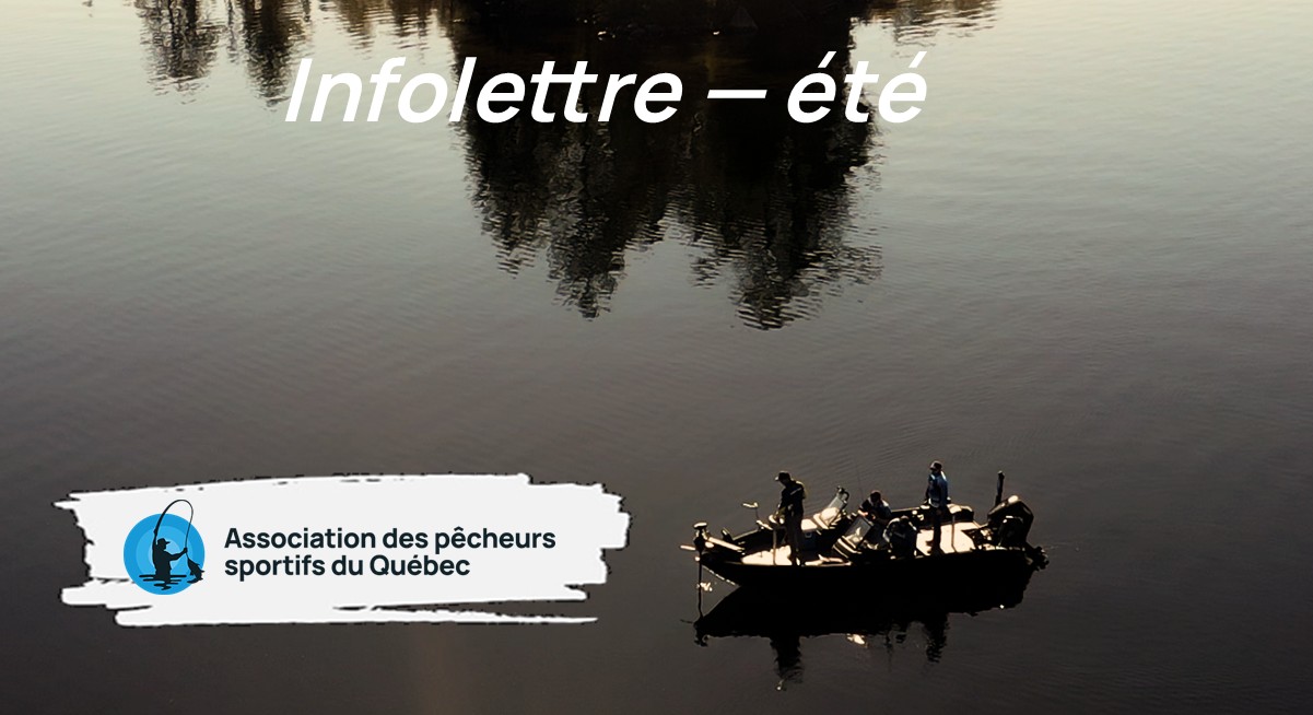 Infolettre été 2025 - Association des Pêcheurs Sportifs du Québec