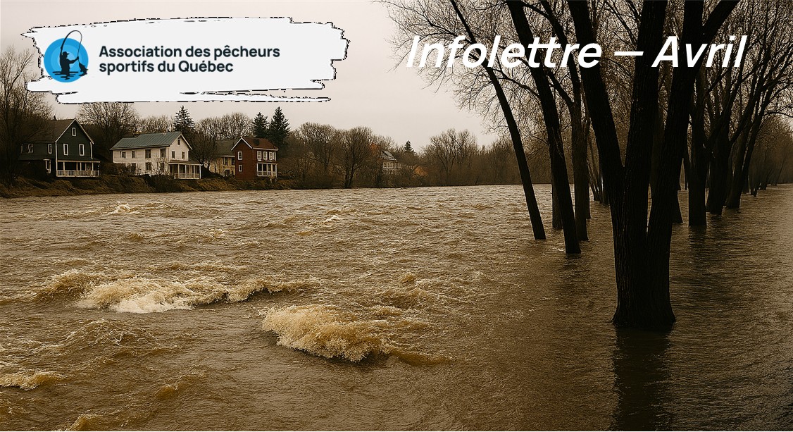 Infolettre d'avril 2026 - Association des Pêcheurs Sportifs du Québec.
